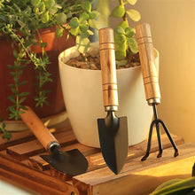 Small hand cultivator set, includes trowel and garden fork, perfect for gardening.