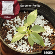 TerraBloom Perlite